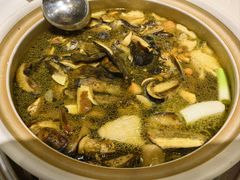 -爱膳菌锅锅(阳南店)