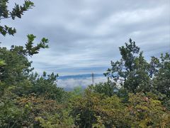 -帽儿山国家森林公园