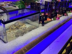 -加餐海鲜自助(宝龙一城店)