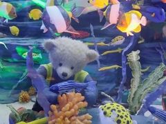 -成都泰迪熊博物馆