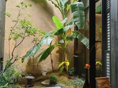 -觀芷隐轩