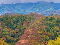 -四明山国家森林公园