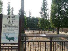 -南昌动物园