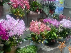 -亭亭鲜花店(中山北路店)