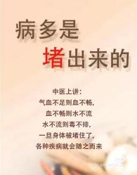 -玛莲朵·海菲秀冰珀科