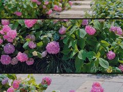 -阅江楼风景区