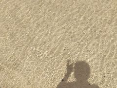 -海驴岛(荣成市)