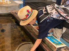 -鹿儿岛水族馆