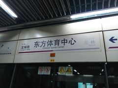 -东方体育中心(地铁站)
