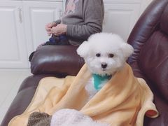 -北京赛佳动物医院