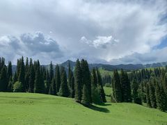 -新疆那拉提国家旅游度假区