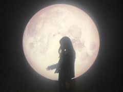 -STARRY CAFE & LOUNGE BAR(高新店)