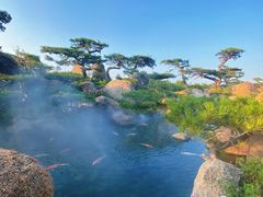 -罗红摄影艺术馆