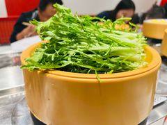 -龍歌自助小火锅(漳州二路爱购店)