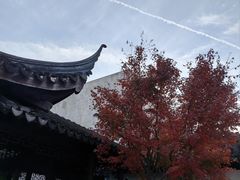 -秋霞圃