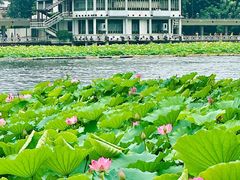 -荔湾湖公园