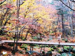 -丹东天桥沟景区