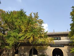 -灵谷景区