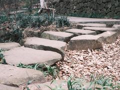 -杭州半山国家森林公园