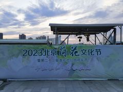 -莲花池公园