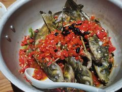 -田小狗的饭店(碧桂园店)