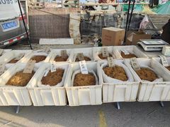 -康陵正德春饼宴26号