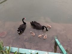 -南通濠河风景名胜区