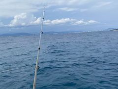 -小猫钓鱼海钓俱乐部(椰梦长廊店)