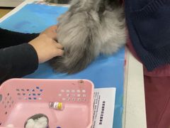 -美联众合动物医院·24h京西诊疗中心