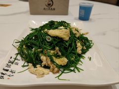 -靖远尕六美味羊羔肉