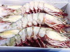 -射阳海鲜城(盐城店)