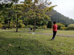 -南沙蒲洲花园