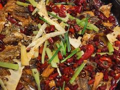 -老板恋上鱼(印象城店)