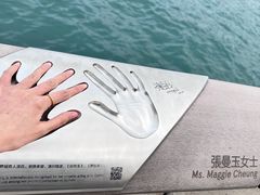 -星光大道