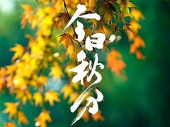 -左悦·艾灸调理·推拿按摩·精油SPA(卓悦汇店)