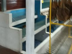 -故乡缘·香格里拉山庄(冷竹路店)