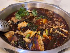 -冯鱼头火锅(青蓝山美食一条街店)