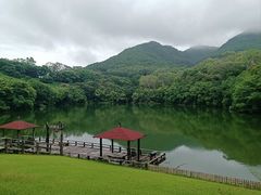 -雁南飞茶田景区