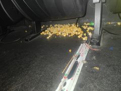-万达影城(通州万达广场IMAX+杜比影院店)