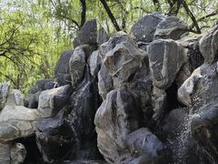 -石家庄市植物园