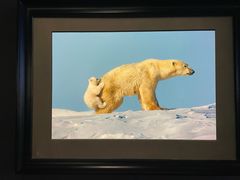 -罗红摄影艺术馆