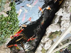-金海华·华宴江南(斜塘店)