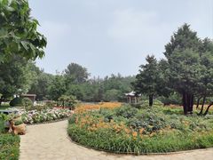 -秦皇岛野生动物园