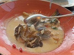 -大连君悦酒店·星海湾壹号Dalian·Dalian(星海广场店)