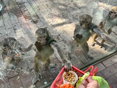 -水上乐园·欢乐世界