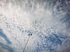 -郑东新区龙湖公共艺术中心