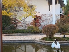-广富林宰相府酒店·水云间