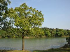 -福建鲤鱼洲酒店