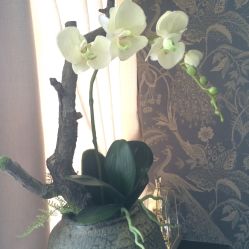 -Face Score美甲美睫皮肤管理