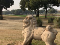 -旭宝高尔夫俱乐部